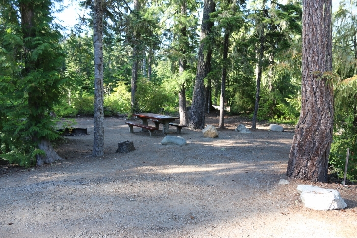 Camping in Washingtons Kachess Campground.